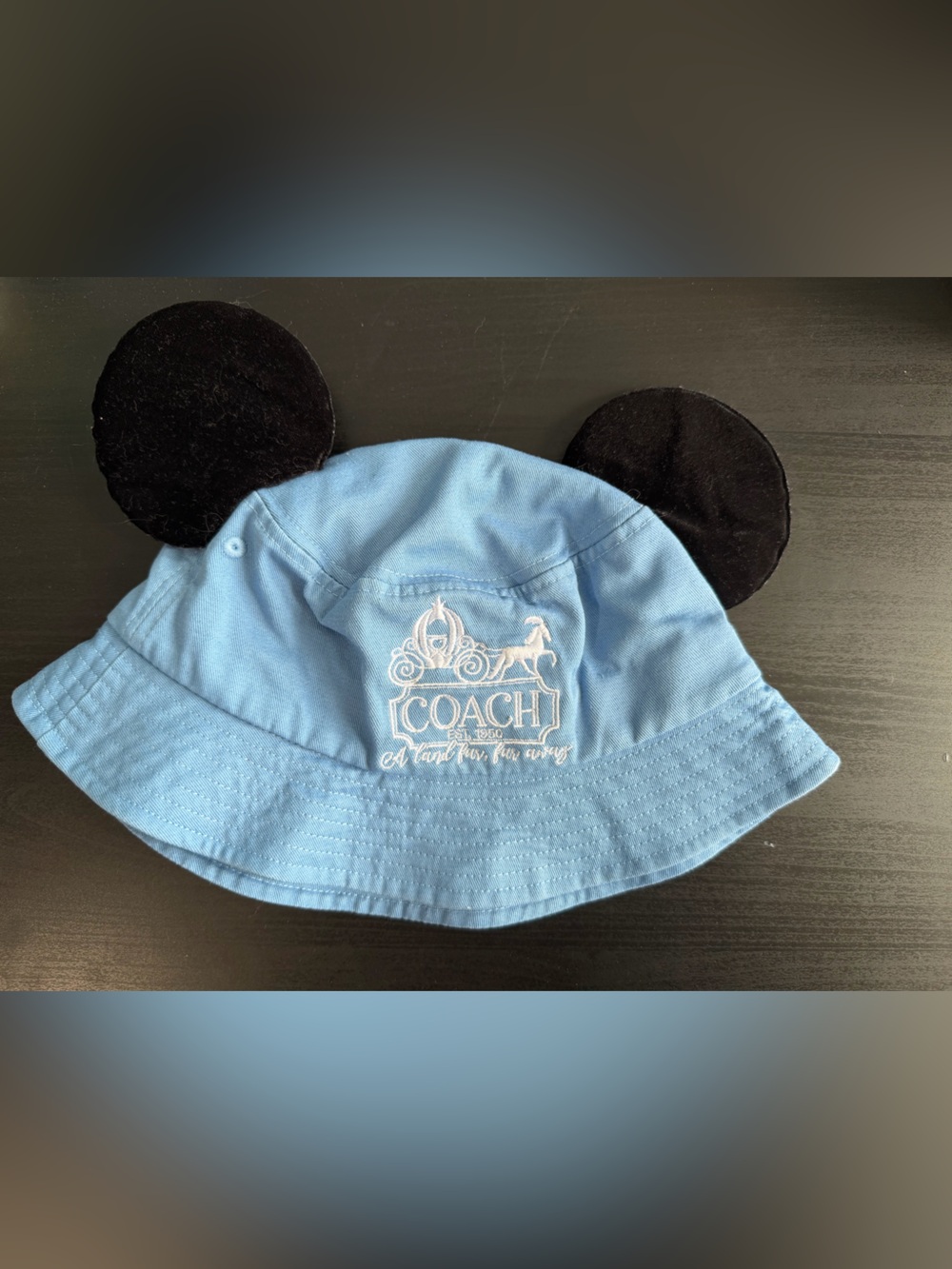 Light Blue Bucket Hat with Black Ear Accents